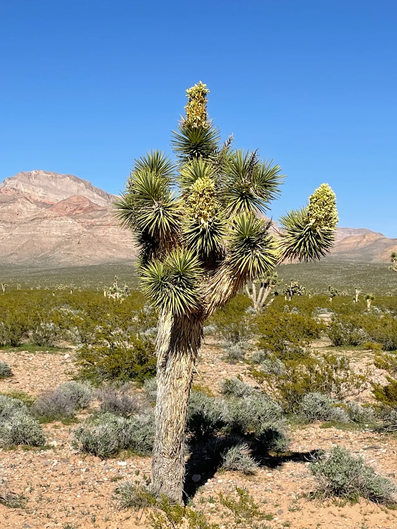 Relax and Recharge in Madeira Beach, Florida: Your Gulf Coast Paradise